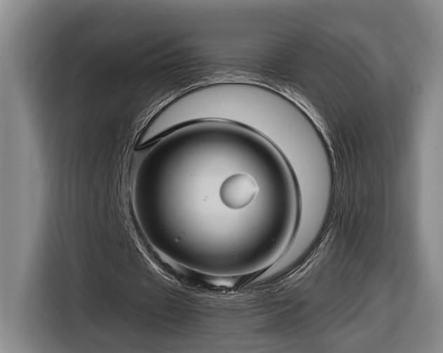 X0000116680433200912211627