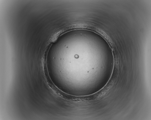 X0000116680434200912211627