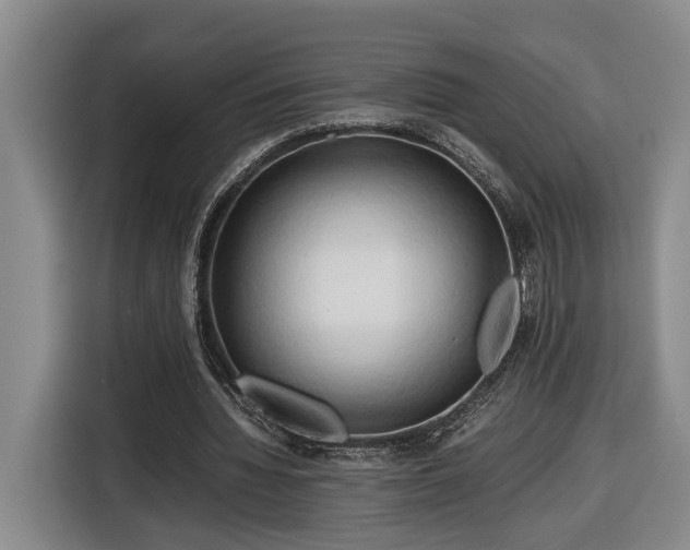 X0000116680436200912211627