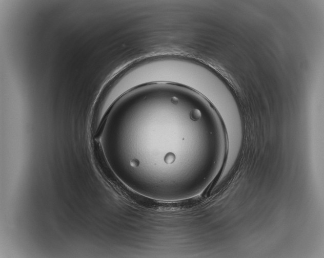 X0000116680440200912211627