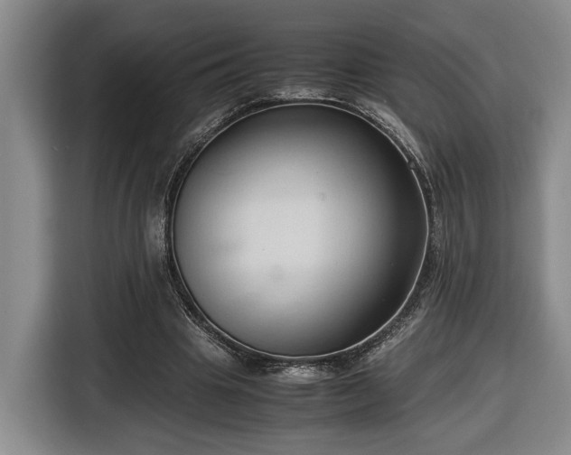 X0000116680441200912211627