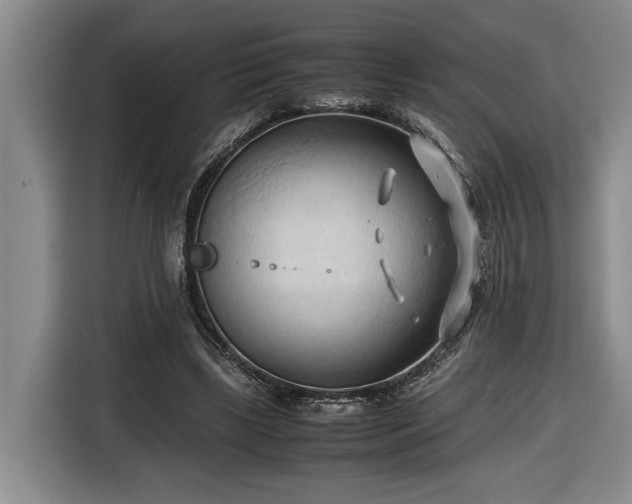 X0000116680443200912211627