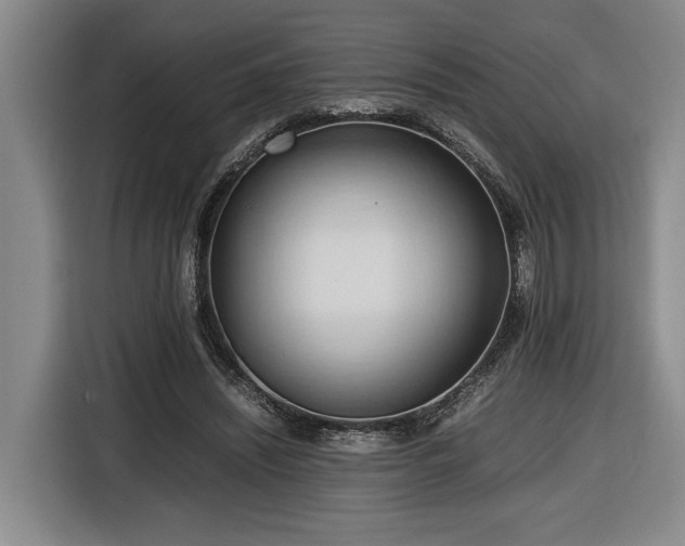 X0000116680444200912211627