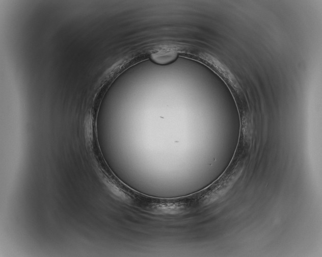 X0000116680445200912211627