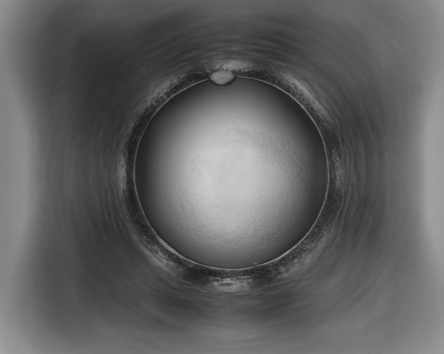 X0000116680447200912211627