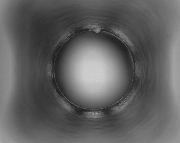 X0000116680449200912211627