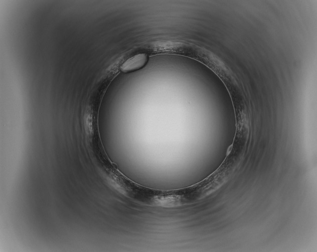 X0000116680452200912211627