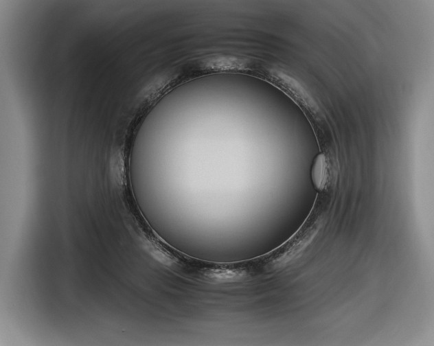 X0000116680453200912211627