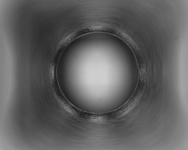 X0000116680454200912211627