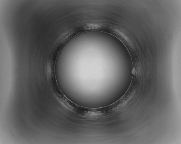 X0000116680455200912211627