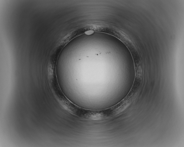 X0000116680456200912211627