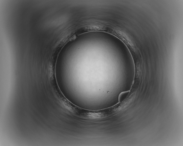 X0000116680457200912211627