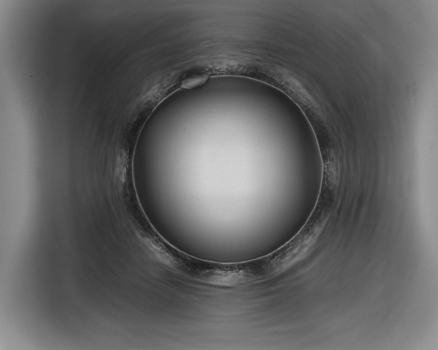 X0000116680458200912211627