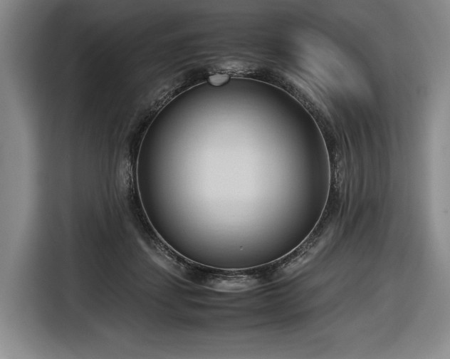 X0000116680459200912211627