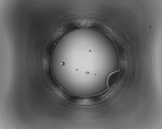 X0000116680460200912211627