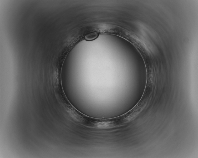 X0000116680461200912211627