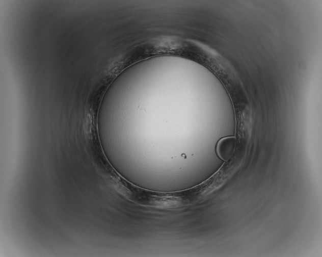 X0000116680463200912211627