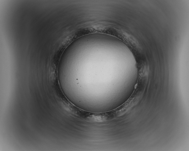 X0000116680464200912211627