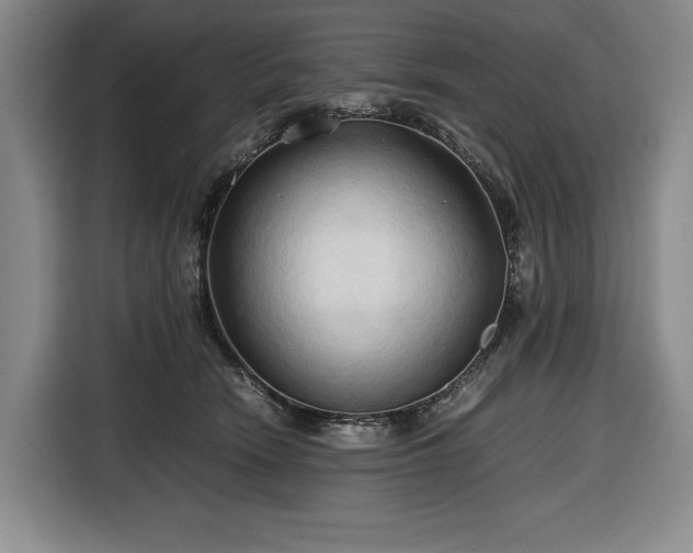 X0000116680466200912211627