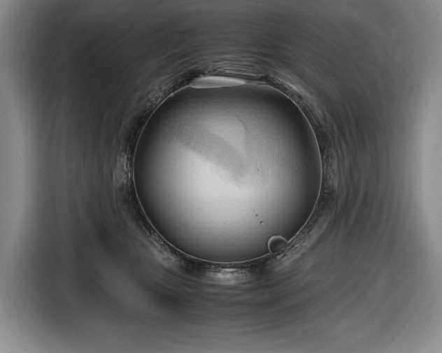 X0000116680467200912211627