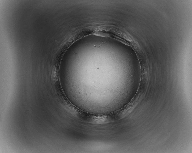 X0000116680469200912211627