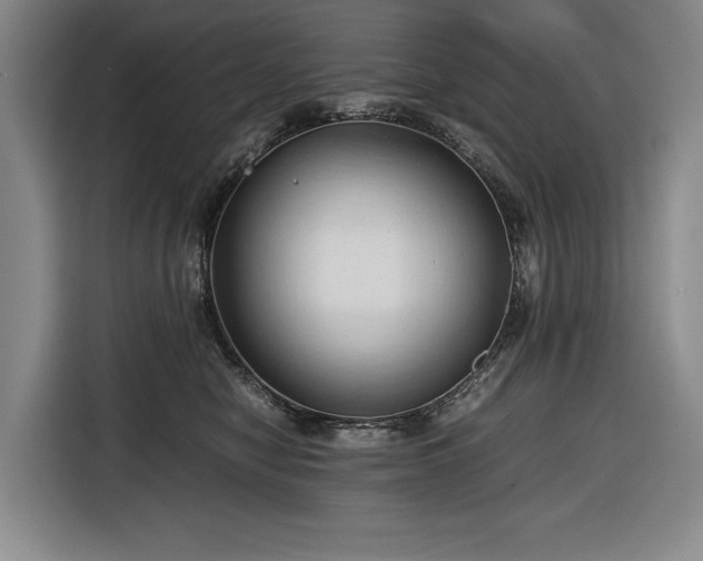 X0000116680470200912211627