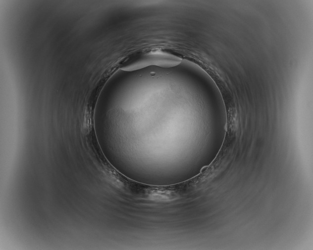 X0000116680471200912211627