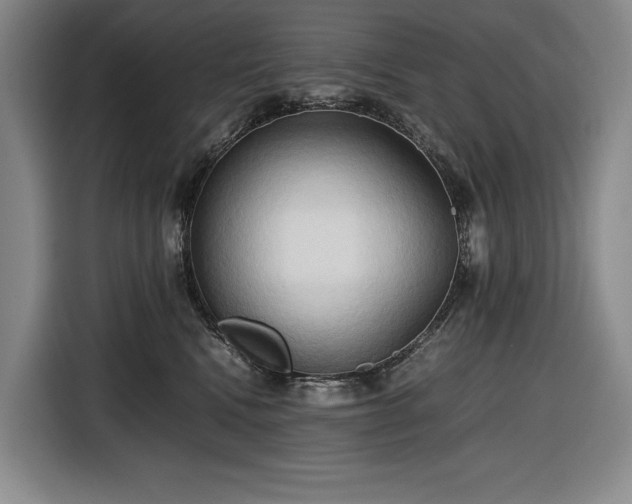 X0000116680472200912211627