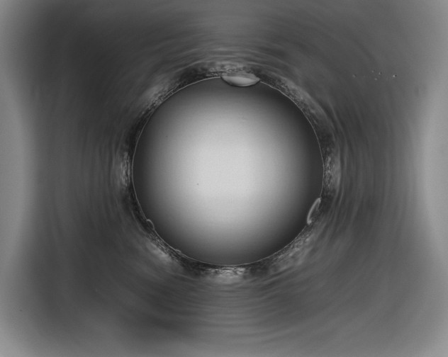 X0000116680474200912211627