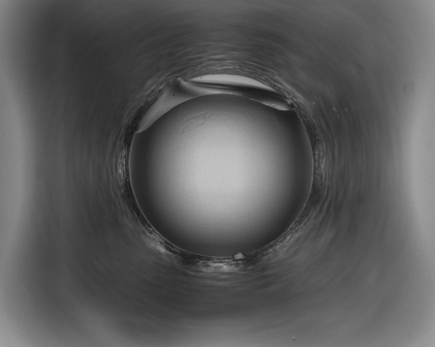 X0000116680475200912211627