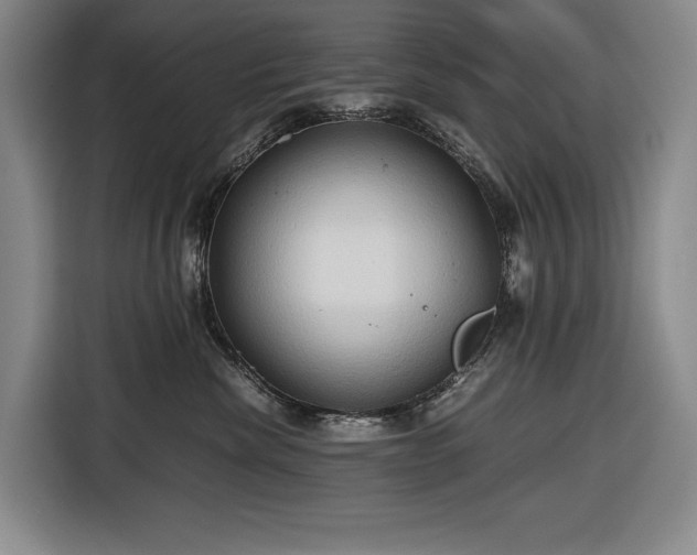 X0000116680476200912211627