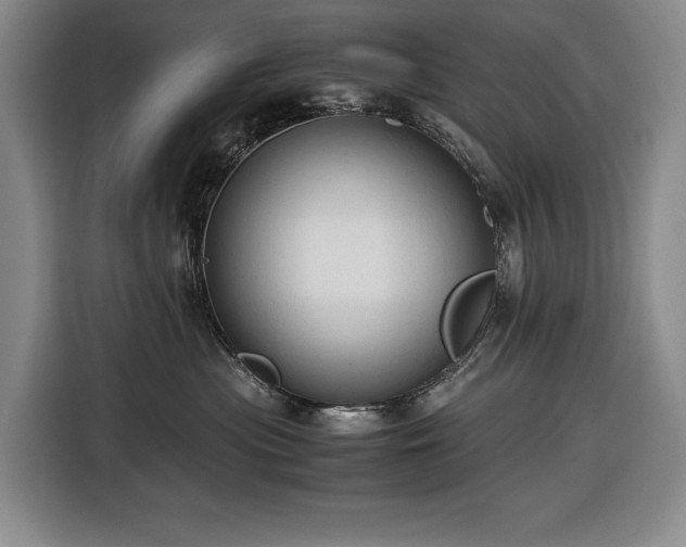 X0000116680477200912211627