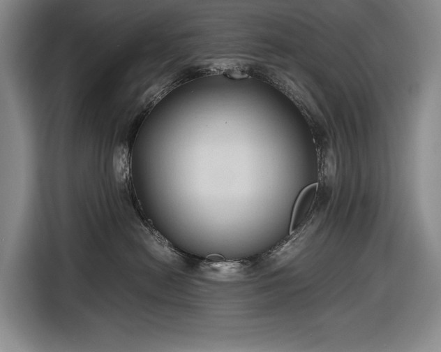 X0000116680478200912211627