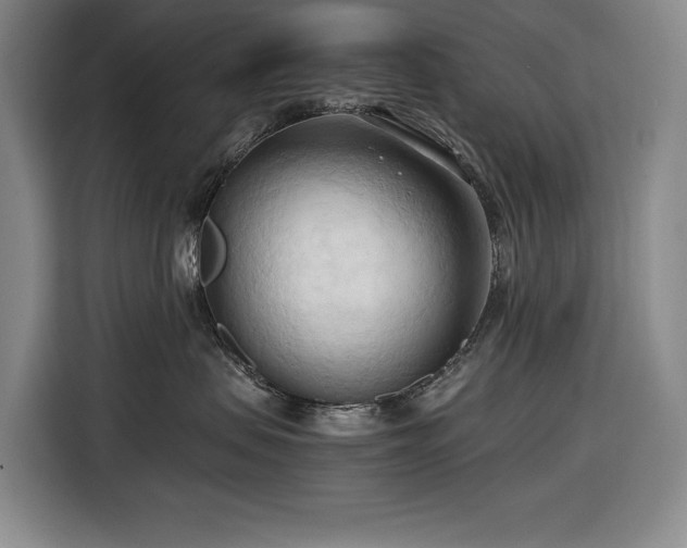 X0000116680479200912211627