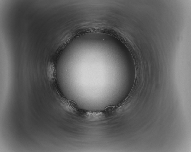 X0000116680480200912211627