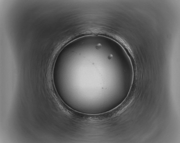 X0000116680481200912211627