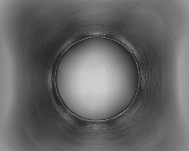 X0000116680482200912211627