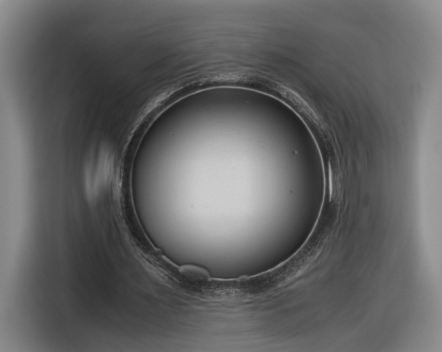 X0000116680483200912211627