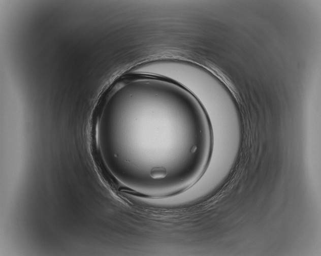 X0000116680485200912211627