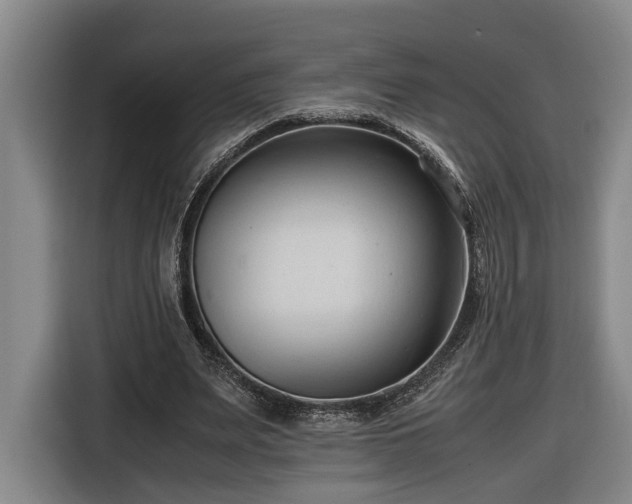 X0000116680487200912211627