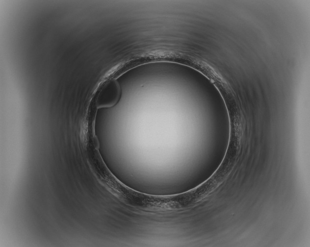 X0000116680488200912211627