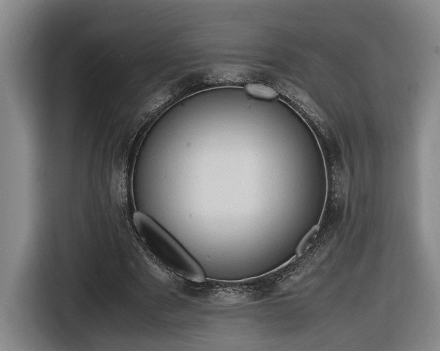 X0000116680489200912211627