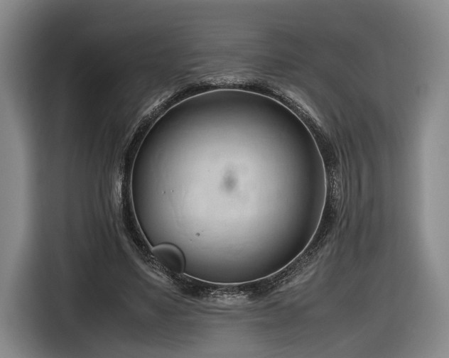 X0000116680491200912211626