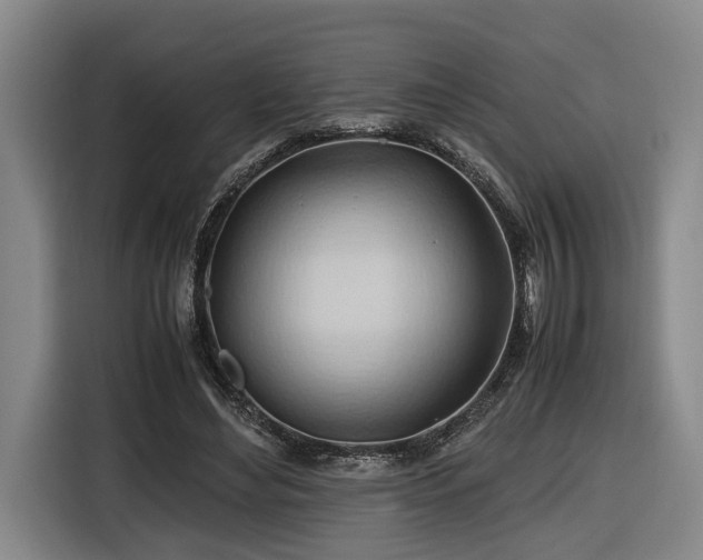 X0000116680492200912211626