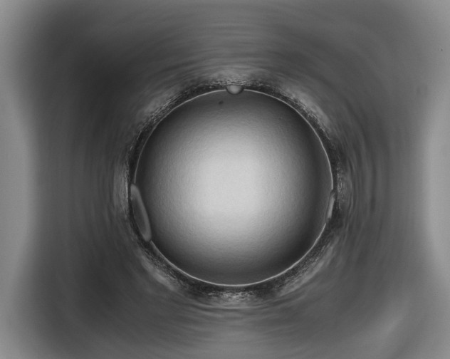 X0000116680493200912211626