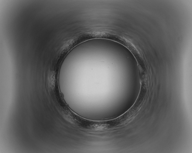 X0000116680495200912211626