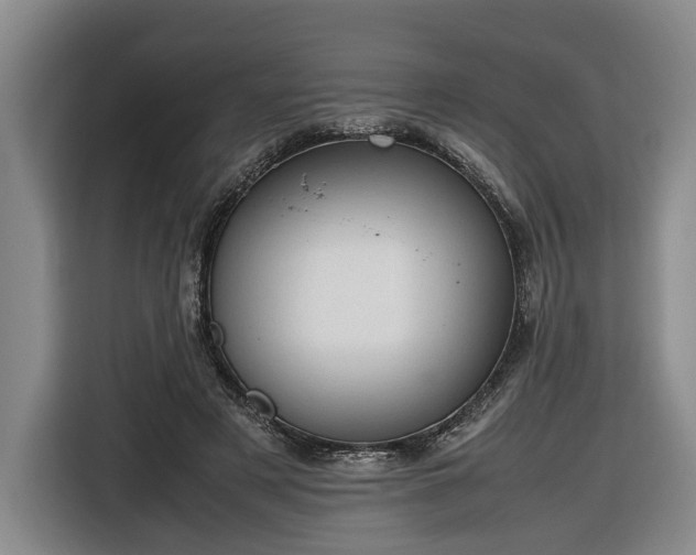 X0000116680497200912211626