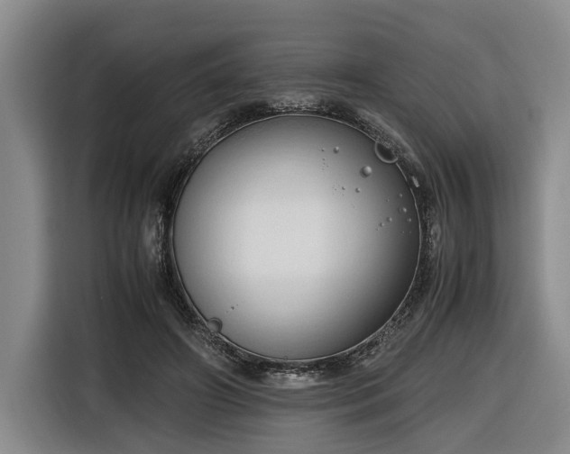 X0000116680498200912211626