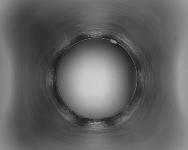 X0000116680499200912211626