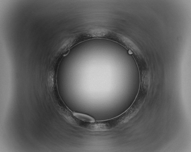 X0000116680501200912211626